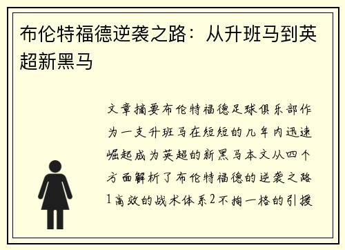 布伦特福德逆袭之路:从升班马到英超新黑马